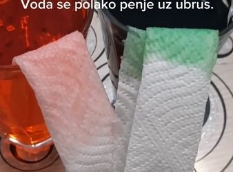 U našoj školi rastu budući znanstvenici!