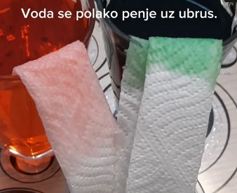 U našoj školi rastu budući znanstvenici!