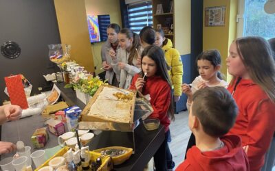 Terenska nastava – Slatki svijet pčela u Lipovljanima